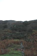 The incline